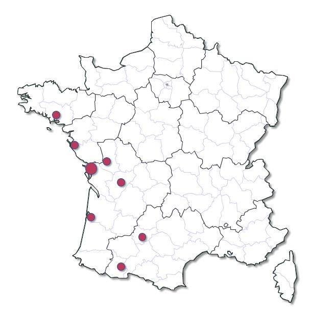 Carte praticien Homéosystémie