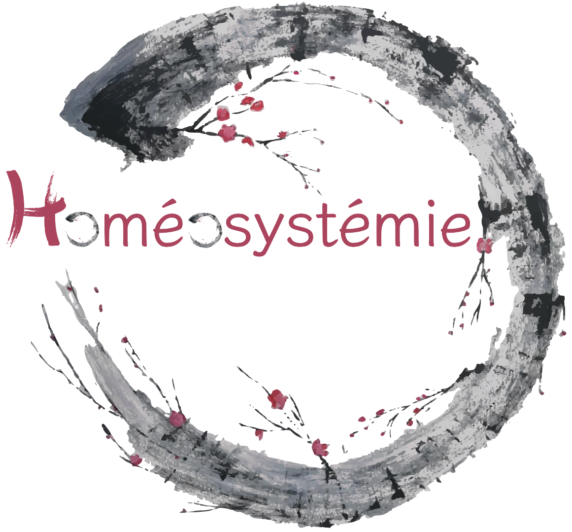 Logo homéosystémie.006 sans fond